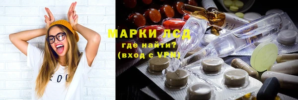 прущие грибы Верхнеуральск