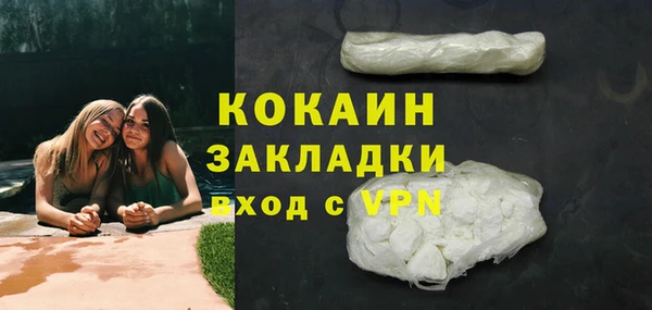 дживик Верхний Тагил