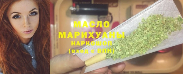дживик Верхний Тагил
