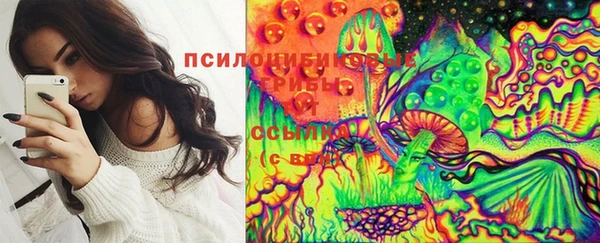прущие грибы Верхнеуральск