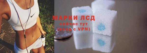 дживик Верхний Тагил