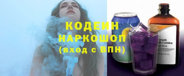 дживик Верхний Тагил