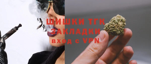 дживик Верхний Тагил