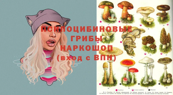 прущие грибы Верхнеуральск