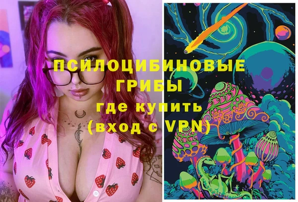 прущие грибы Верхнеуральск