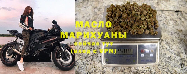 дживик Верхний Тагил