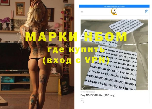дживик Верхний Тагил