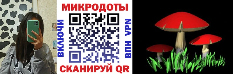 дарнет шоп  Нестеров  Псилоцибиновые грибы Magic Shrooms 